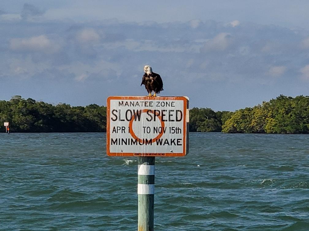 a sign above a body of water